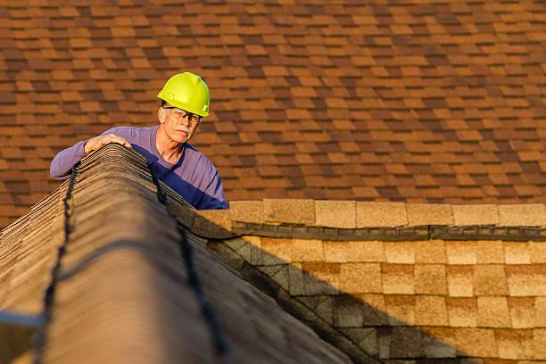 Best Emergency Roof Repair  in Grand Meadow, MN